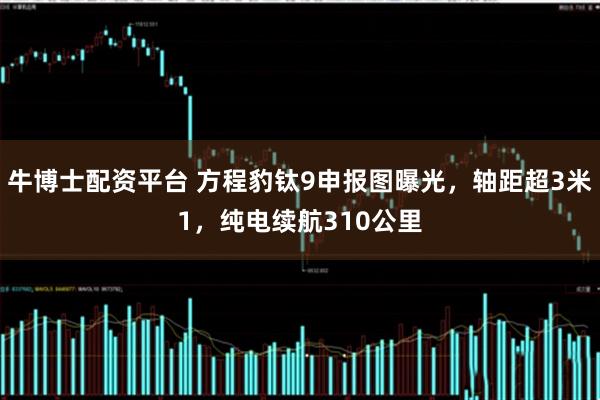 牛博士配资平台 方程豹钛9申报图曝光，轴距超3米1，纯电续航310公里